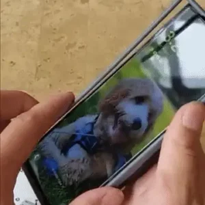 Samsung Galaxy Z Fold Case with S Pen Slot