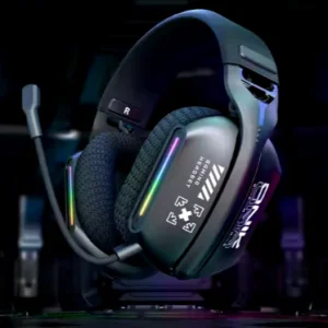 Audiophile Headphones