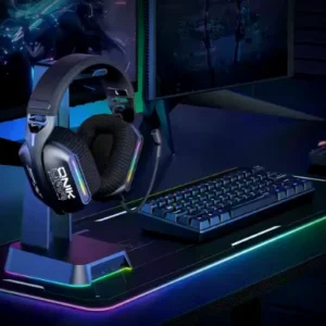 Audiophile Headphones