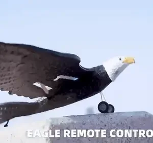 RC Eagle For Kids