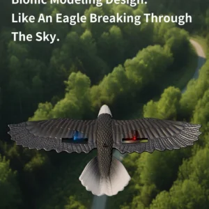 RC Eagle For Kids